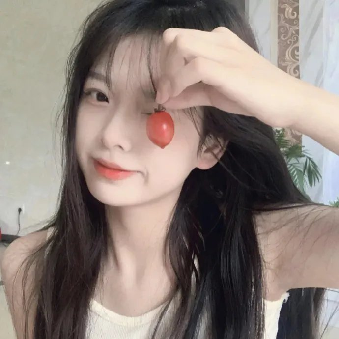大明天子 海报